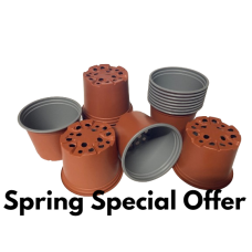 100 x 10CM PLASTIC PLANT POTS